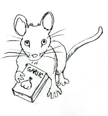 Mouse with garlic book by Susan Fluegel at Grey Duck Garlic